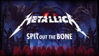 METALLICA "Spit Out the Bone"